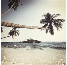 Strand mit Palmen und kleiner Insel im Meer