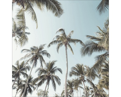 Tableau sur toile Palms On Beach II 27x27 cm