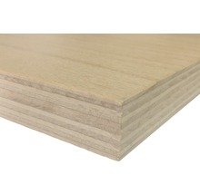 Panneau multiplis eucalyptus avec placage supérieur hêtre 2200x1250x18mm (découpe à réserver en ligne)-thumb-2