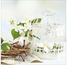 Dekorative Szene mit Vogelkäfig, Blumen, Ästen und Notenblatt