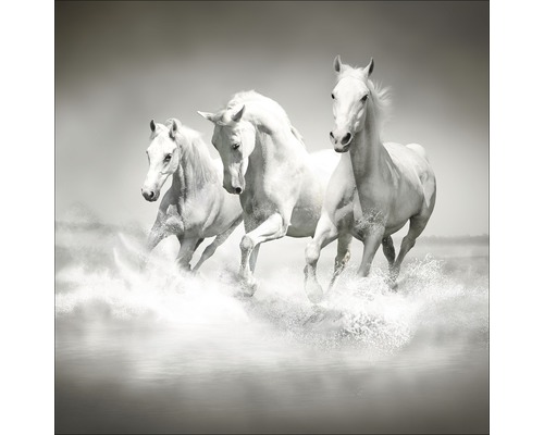 Tableau en verre White Horses 20x20 cm