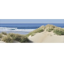 Oyat sur dune de sable avec vue sur la mer