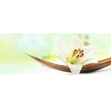 Tableau en verre Young Living I 30x80 cm