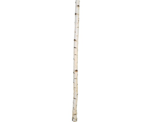 Birkenstamm Ø 5 cm 180 cm