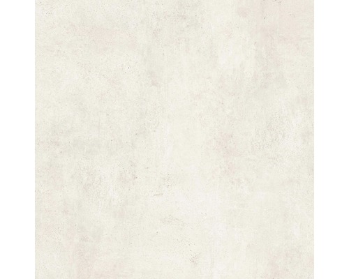 Carrelage sol et mur en grès cérame fin HOMEtek Ivory mat 60 x 60 cm Carrelage sol et mur en grès cérame fin HOMEtek Ivory mat 60 x 60 cm