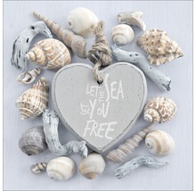 Décoration en forme de cœur avec l''inscription ''Let the Sea set you free'', entourée de coquillages et de bois flotté.