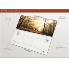 Image sur verre avec motif de forêt, entretoises incluses pour montage mural