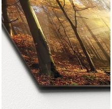 Image décorative avec motif de forêt d''automne sur verre acrylique