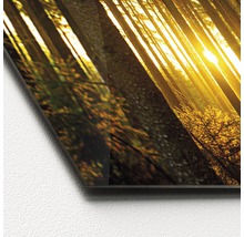 Image en verre avec motif de forêt et soleil