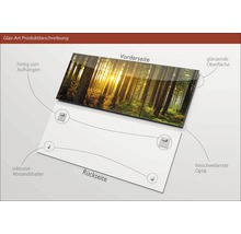 Description du produit Image en verre avec motif de forêt, supports et entretoises
