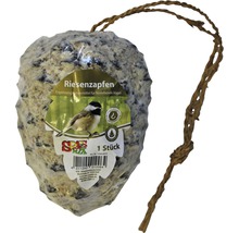 Nourriture d'hiver pour oiseaux : pomme de pin géante avec garniture naturelle