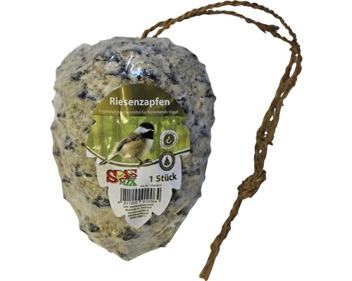 Nourriture d'hiver pour oiseaux : pomme de pin géante avec garniture naturelle Cône de nourriture pour oiseaux avec cordon de suspension