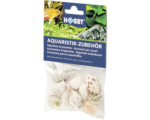 Décoration d'aquarium Hobby coquilles d'escargots Sea Shells Set M 10 pièces