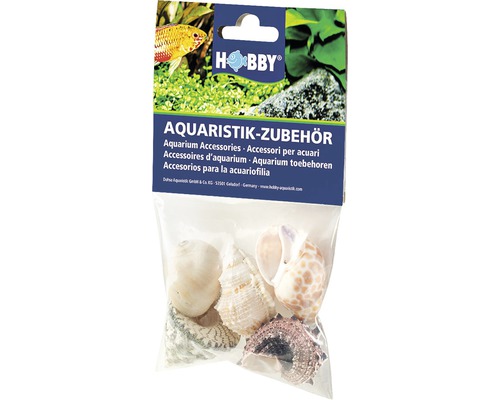 Décoration d'aquarium Hobby coquilles d'escargots Sea Shells Set L 5 pièces