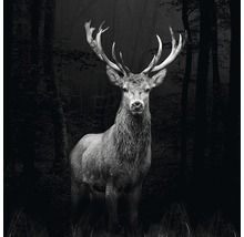 Cerf dans la forêt