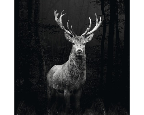 Tableau en verre Grey Deer Head 30x30 cm
