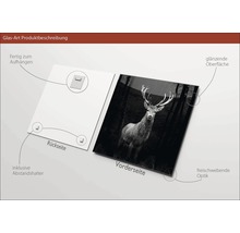 Image en verre avec motif de cerf, surface brillante, avec entretoises pour un montage facile