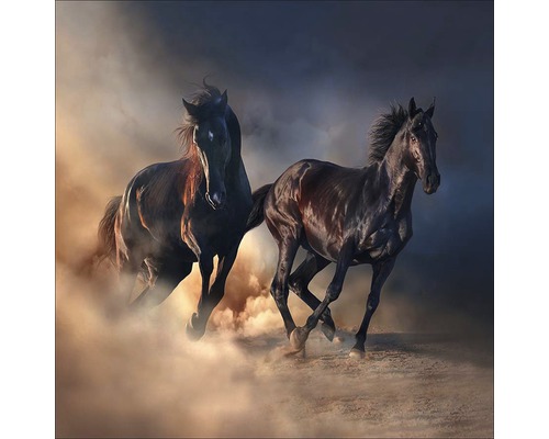 Deux chevaux au galop dans la poussière