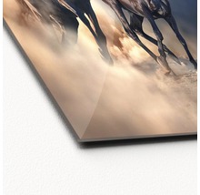 Vue détaillée d''une photo en verre acrylique représentant des chevaux au galop