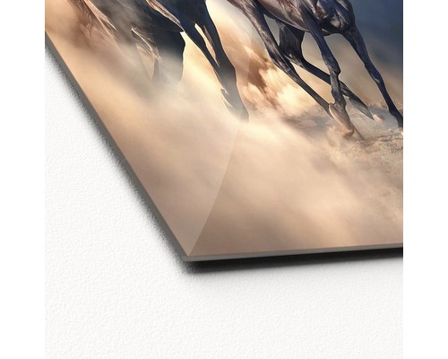 Detailansicht eines Acrylglasbildes mit dem Motiv galoppierender Pferde