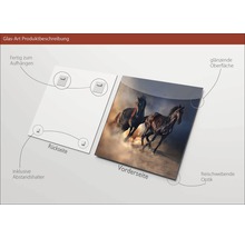 Image en verre avec motif de chevaux, supports d''écartement et suspension inclus