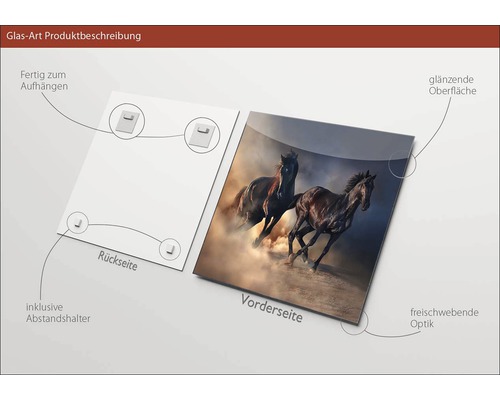 Glasbild mit Pferde Motiv, inklusive Abstandshalter und Aufhängung