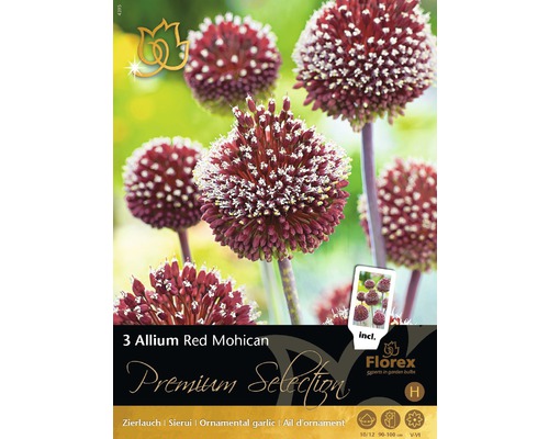 Blumenzwiebel Premium Zierlauch 'Allium Mohican' rot 3 Stk