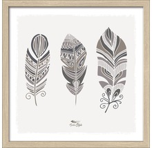 Gerahmtes Bild Feather II 33x33 cm