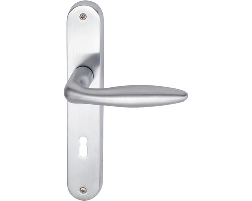 Poignée sur plaque longue Alison chrome/satiné BB pour portes intérieures Poignée de porte en acier inoxydable avec plaque longue