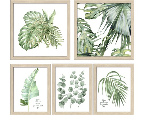 Tableau encadré Green Plant Collage set de 5 Tableau encadré Green Plant Collage set de 5