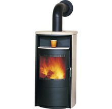 Kaminofen mit schwarzem Ofenrohr und brennendem Feuer im Inneren
