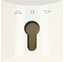 Commande à clé pour volet roulant