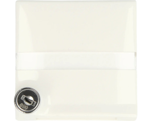 Busch-Jaeger 2118 GKSLN-34 bague intermédiaire avec couvercle rabattable et champ d'inscription verrouillable, fermeture différente, toutes conditions météorologiques, 44 blanc alpin Boîtier de tableau électrique avec serrure