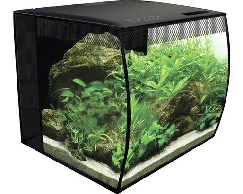 Aquarium avec pierres et plantes