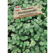 Sachet de graines de coriandre à feuilles Sperli