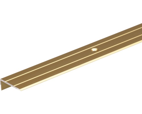 Profilé d'escalier alu or anodisé 24,5x20x1,5 mm, 1 m Profil d''arête d''escalier en aluminium avec trou de fixation