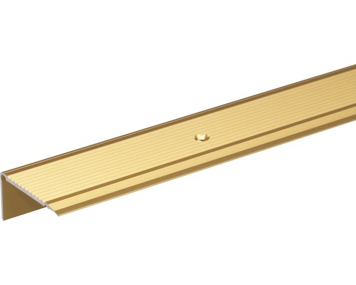 Profilé d'escalier alu or anodisé 45x23x2,7 mm, 1 m Profil de bordure d''escalier en aluminium avec trou de vis