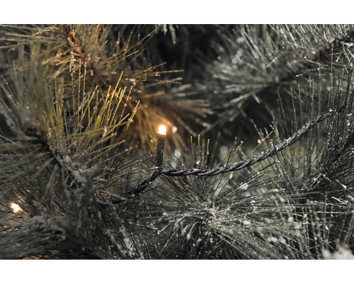 Gros plan d''une guirlande de Noël illuminée sur un sapin de Noël.