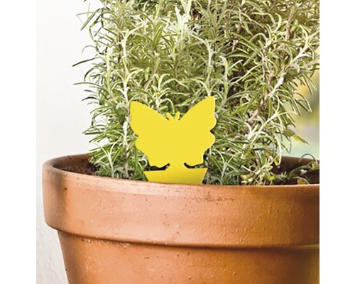 Piège à insectes jaune en forme de papillon dans un pot de fleurs.