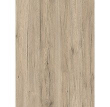 d-c-fix® Klebefolie Holzdekor Sanremo Eiche sand 90x210 cm