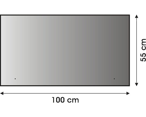 Rechteckiger Spiegel, 100 mal 55 Zentimeter