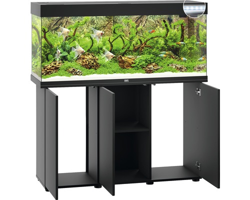 Aquarium avec meuble bas pour l''intérieur avec poissons et plantes