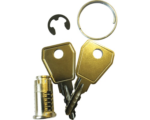 Cylindre de serrure avec deux clés, anneau de sécurité et circlip