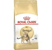 Paquet de nourriture pour chat Royal Canin Bengal adulte