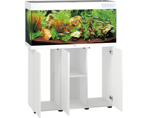 Aquarium avec meuble bas et décoration