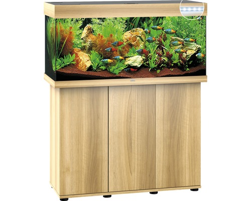 Aquarium avec meuble bas, équipé de plantes, de pierres et de poissons