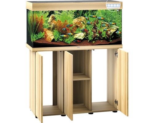 Aquarium avec meuble bas et aménagement intérieur avec poissons et plantes.
