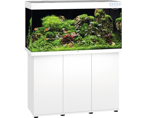 Aquarium complet avec meuble bas, plantes, pierres et poissons