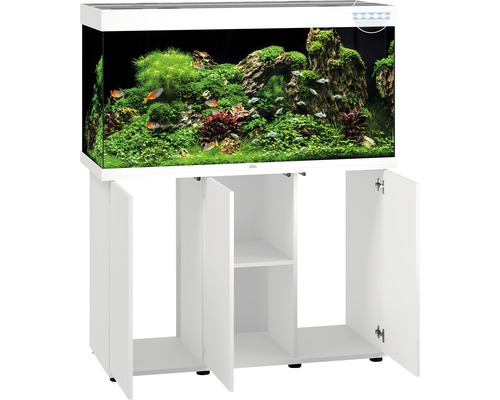 Aquarium avec meuble bas et aménagement intérieur