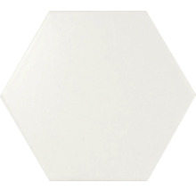 Carreau hexagonal